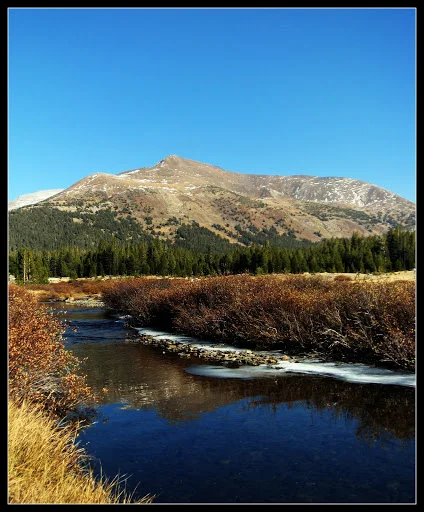 Autumn.webp