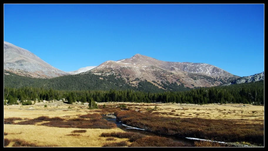 Autumn_1.webp