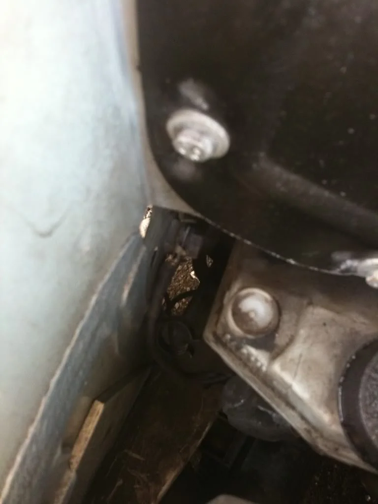 b062ae8f.webp