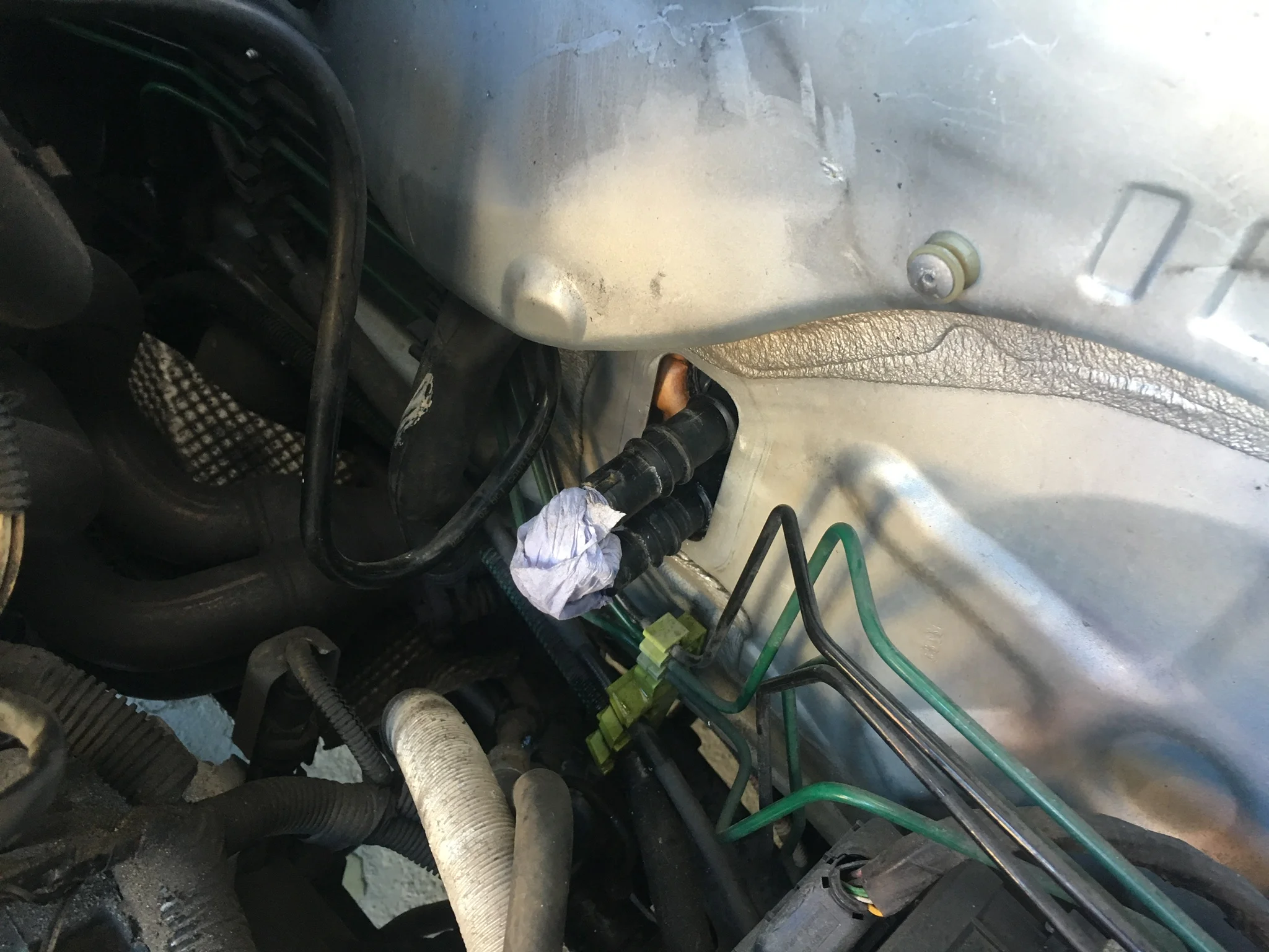 B41B3353-1982-4E68-A899-518778AC3D53.webp