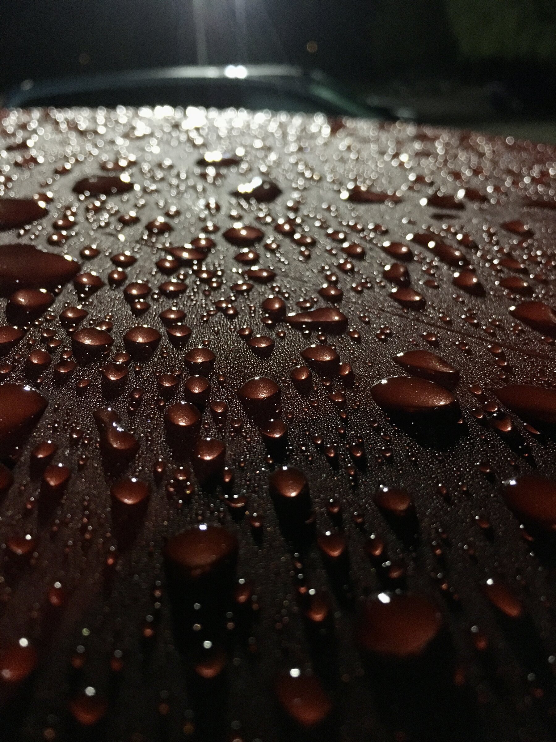 B514720B-439F-47B0-8A24-F3C429B4DAA9.jpeg