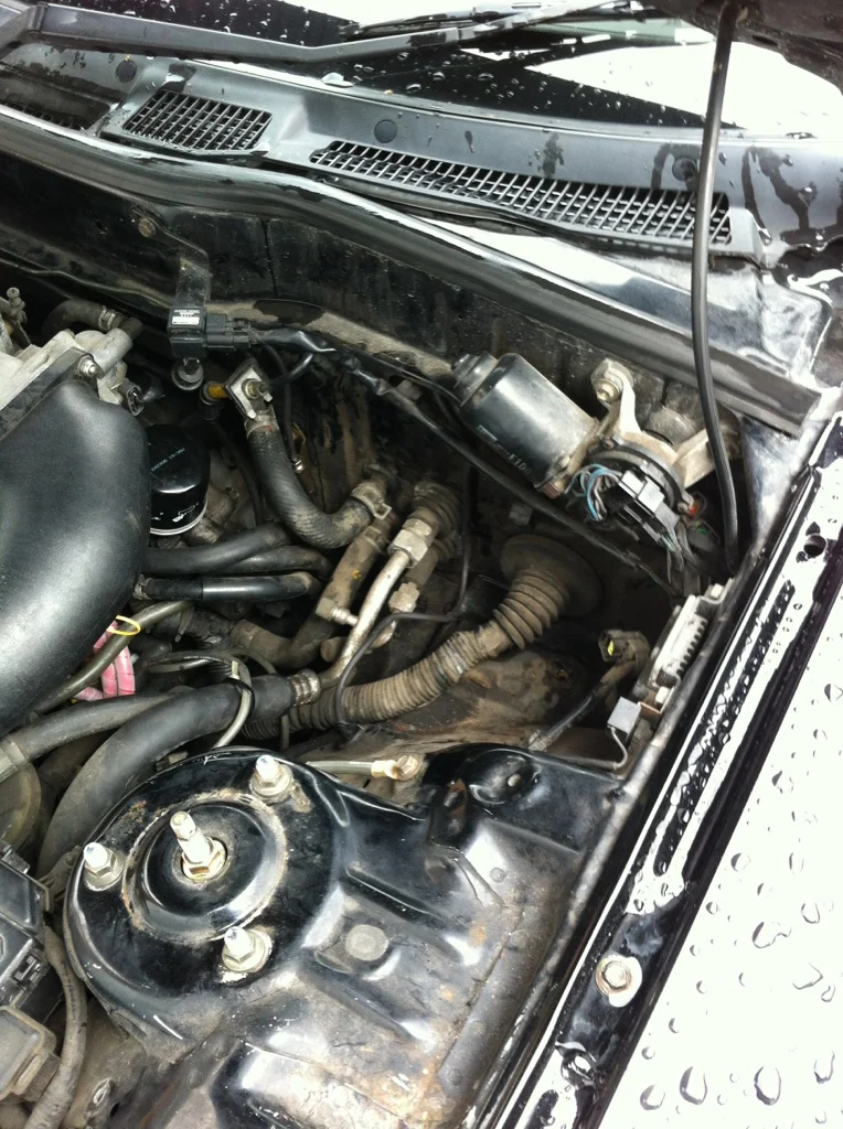 b5219003.webp
