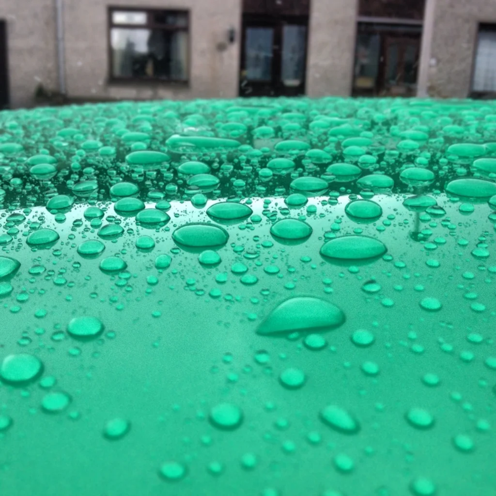 BA0D4ABC-EE70-4034-A01F-99DAE06641CF-3152-0000023F607CA2CC_zps5c71ea60.webp