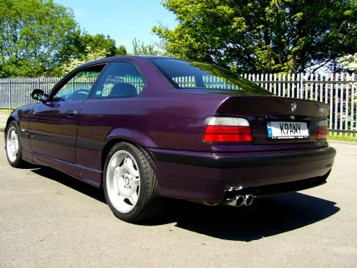 backside.webp