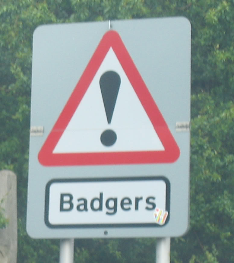 badgerssign.jpg
