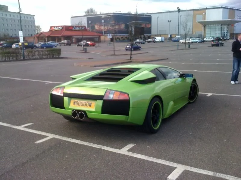 basildonlambo.webp