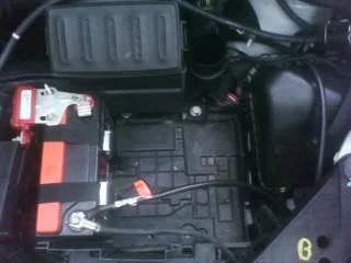 bat1.webp