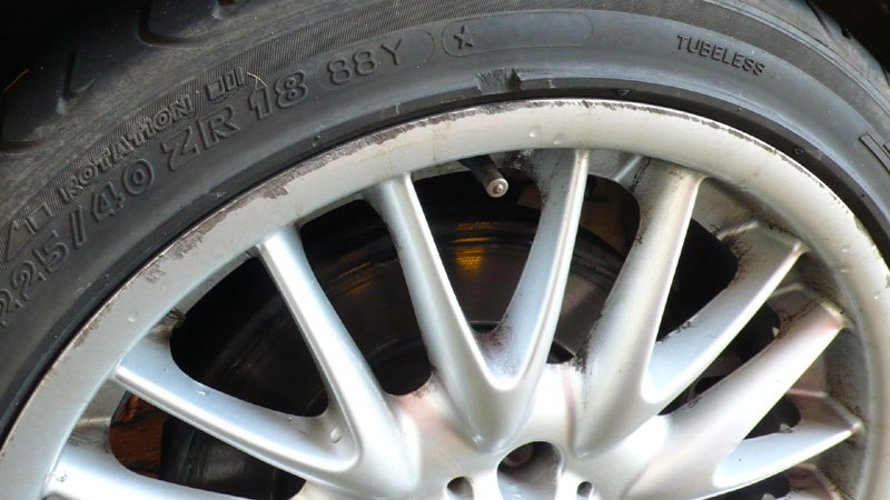 BavarianBeast003.jpg BavarianBeast003.jpg