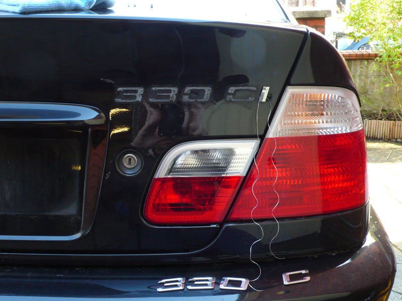 BavarianBeast017.jpg BavarianBeast017.jpg