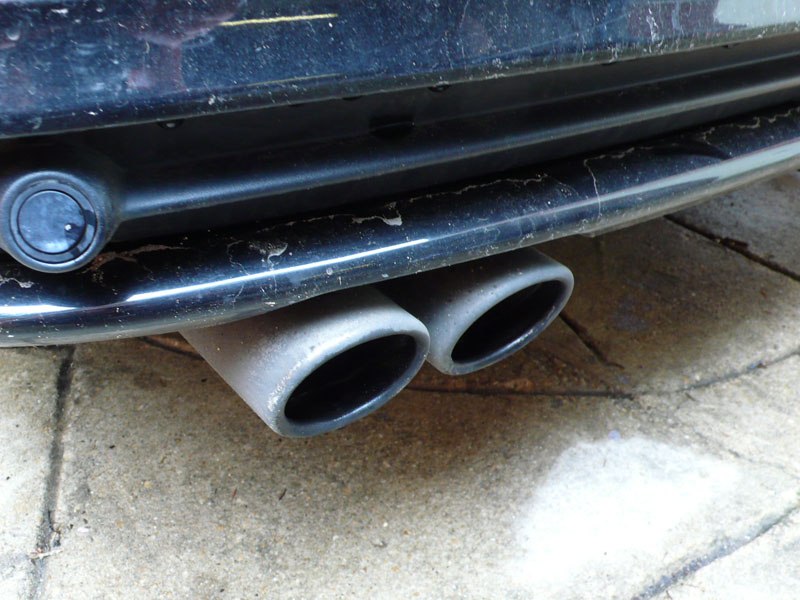 BavarianBeast018.jpg BavarianBeast018.jpg