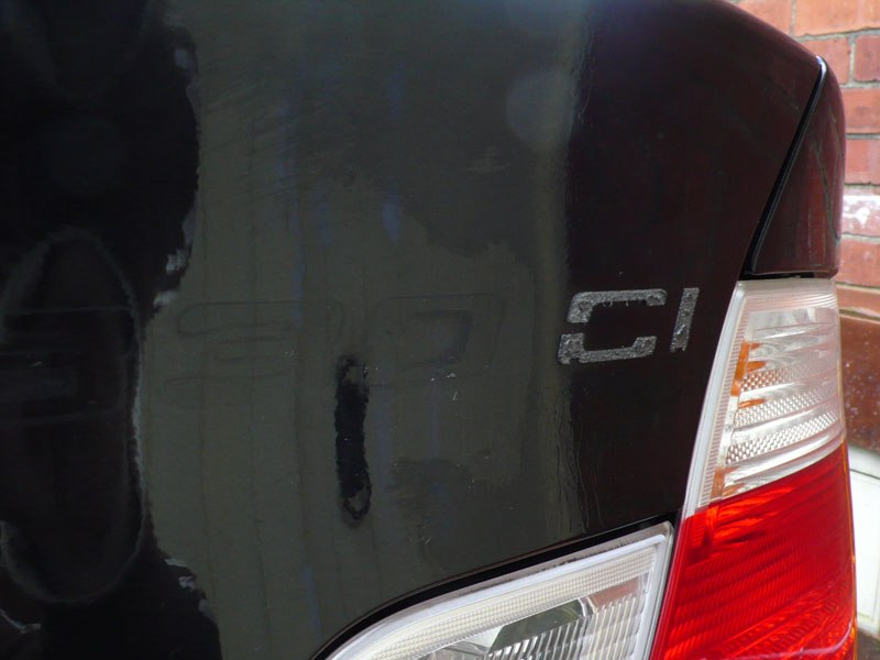 BavarianBeast019.jpg BavarianBeast019.jpg