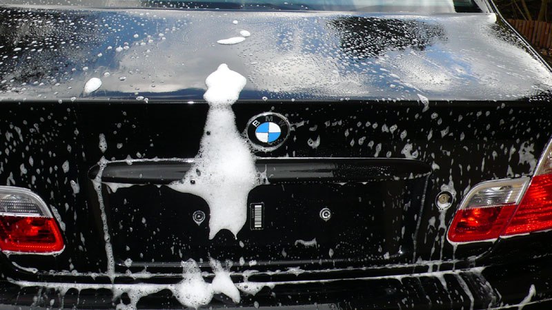 BavarianBeast021.jpg BavarianBeast021.jpg