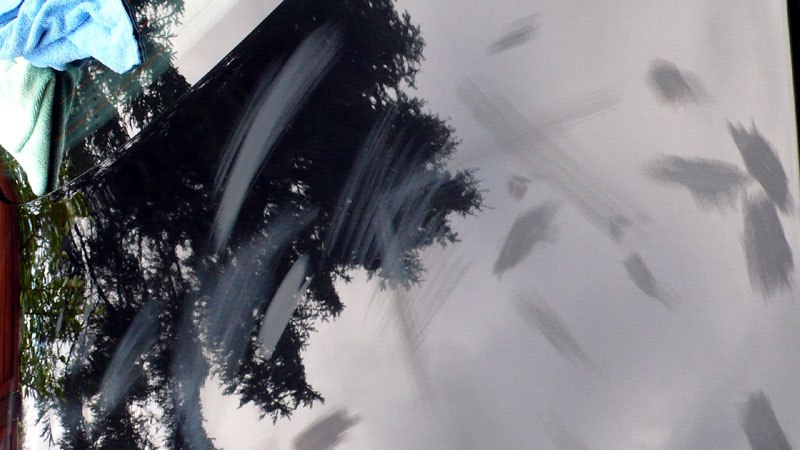 BavarianBeast022.jpg BavarianBeast022.jpg