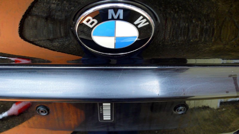 BavarianBeast024.jpg BavarianBeast024.jpg