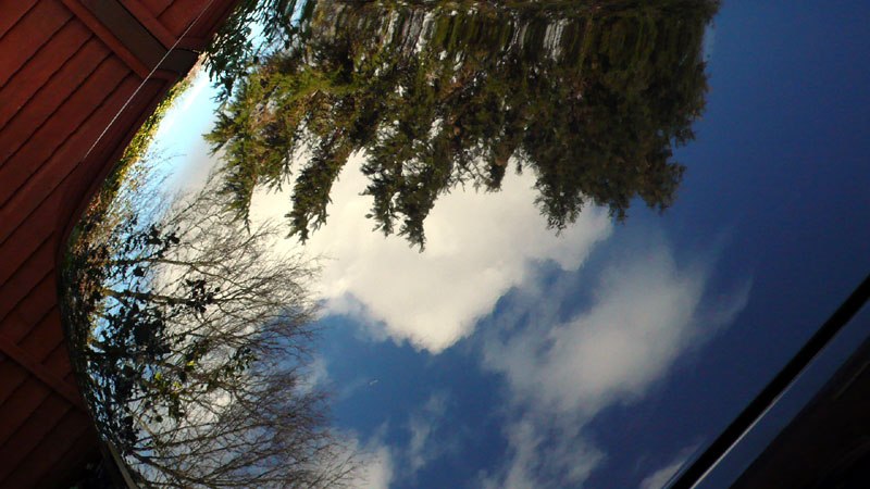 BavarianBeast033.jpg BavarianBeast033.jpg