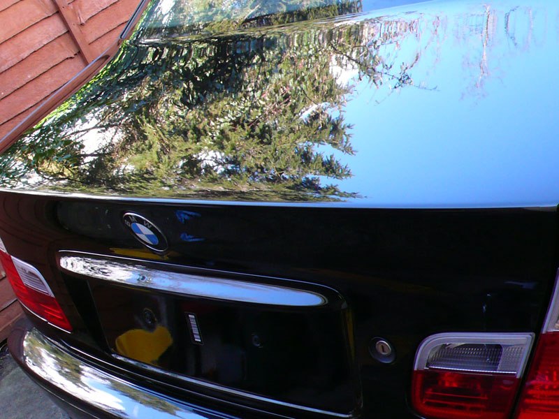 BavarianBeast037.jpg BavarianBeast037.jpg