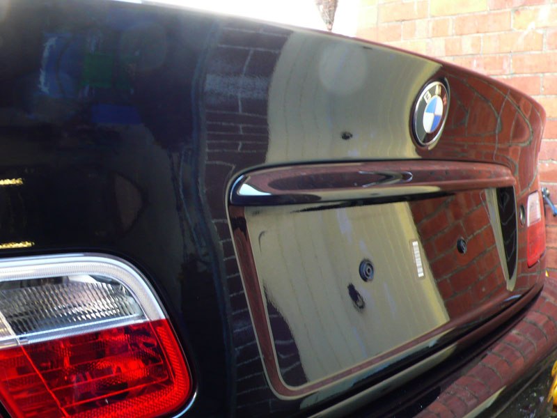 BavarianBeast038.jpg BavarianBeast038.jpg