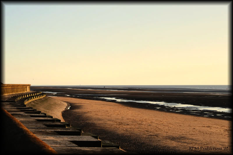 Beach1normcopy.jpg