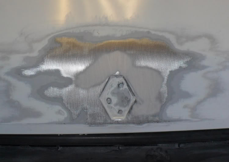 beaglerep1.jpg beaglerep1.jpg