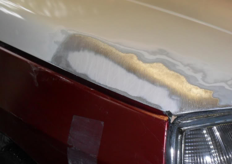 beaglerep2.jpg beaglerep2.jpg