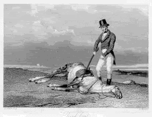 BeatDeadHorse-1.gif