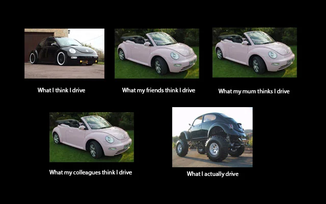 beetle_zps3118c7f9.webp