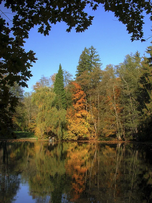Betler_pond.webp