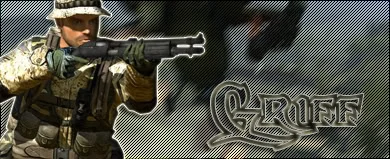 bf2sig.webp