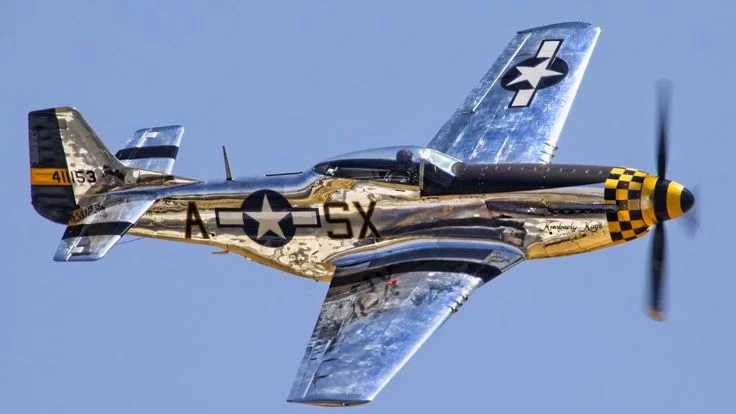 bf69651abeaf50064db1102e5ca263e9--p-mustang-mustangs.webp