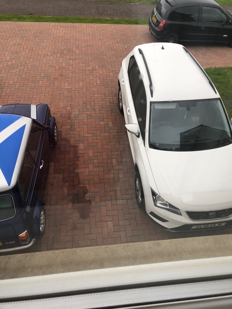 bfcc9fa7ddfc2166e84ccfea6722f837.jpg