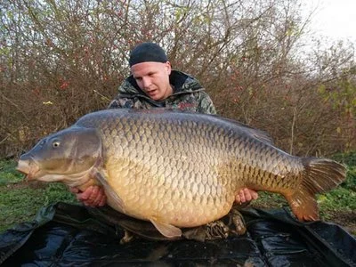biggest-carp-caught-3.webp
