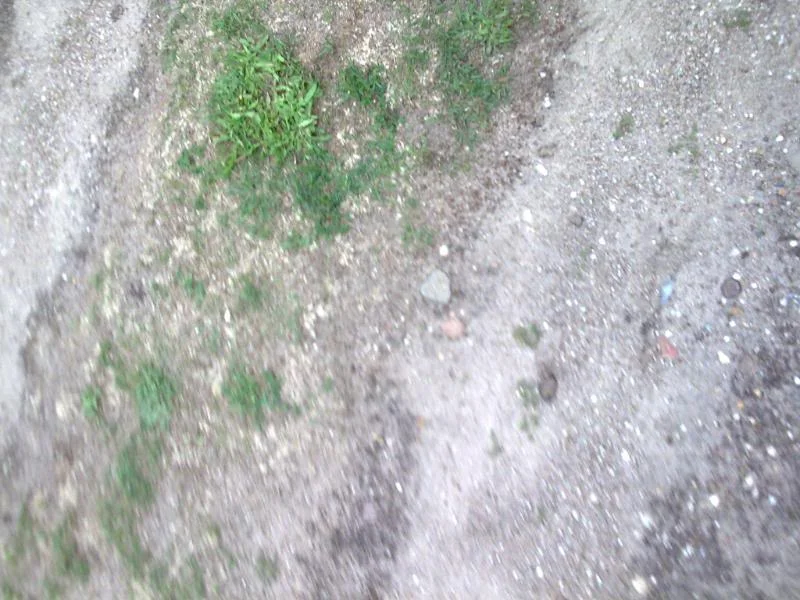 Billede024.webp