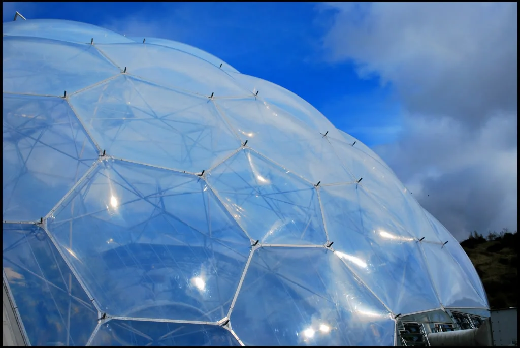 Biome.webp