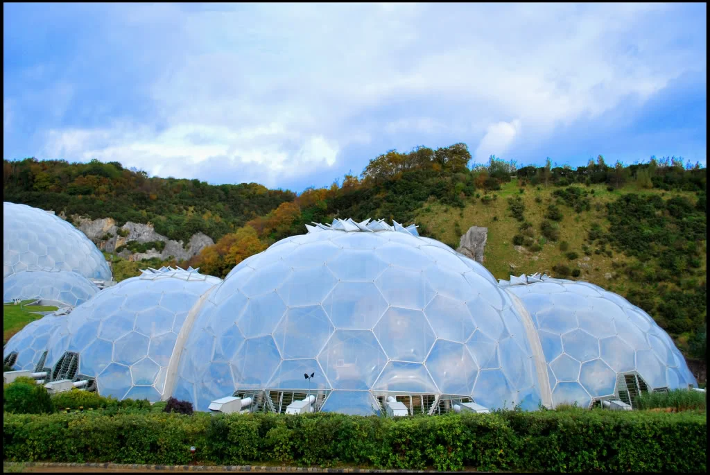 Biomes.webp