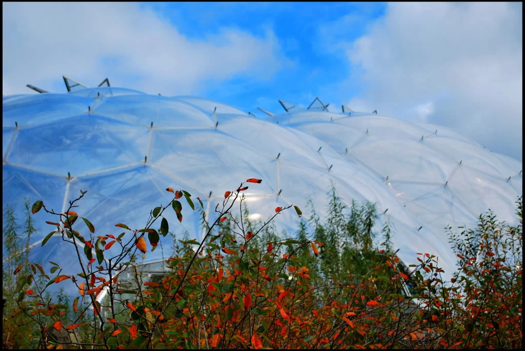 Biomes1.webp