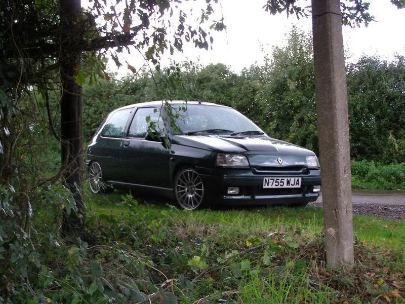 birchmeet008Medium.webp