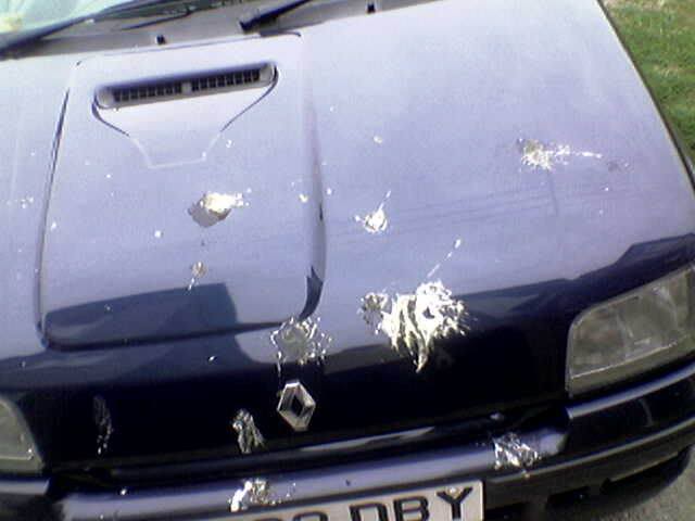 Birdpoo.jpg