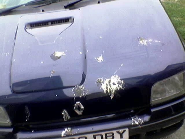 Birdpoo.webp