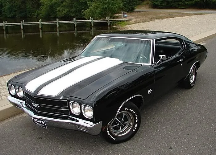 blkchevdsfrt454.webp
