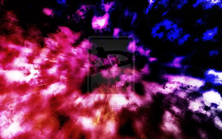 Blossem_design_2_by_RichPhotography.webp