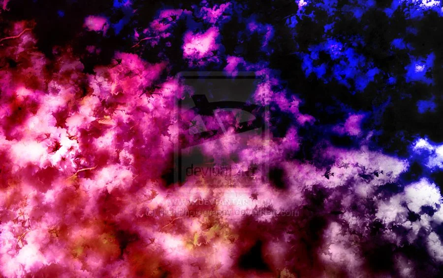Blossom_design_by_RichPhotography.webp