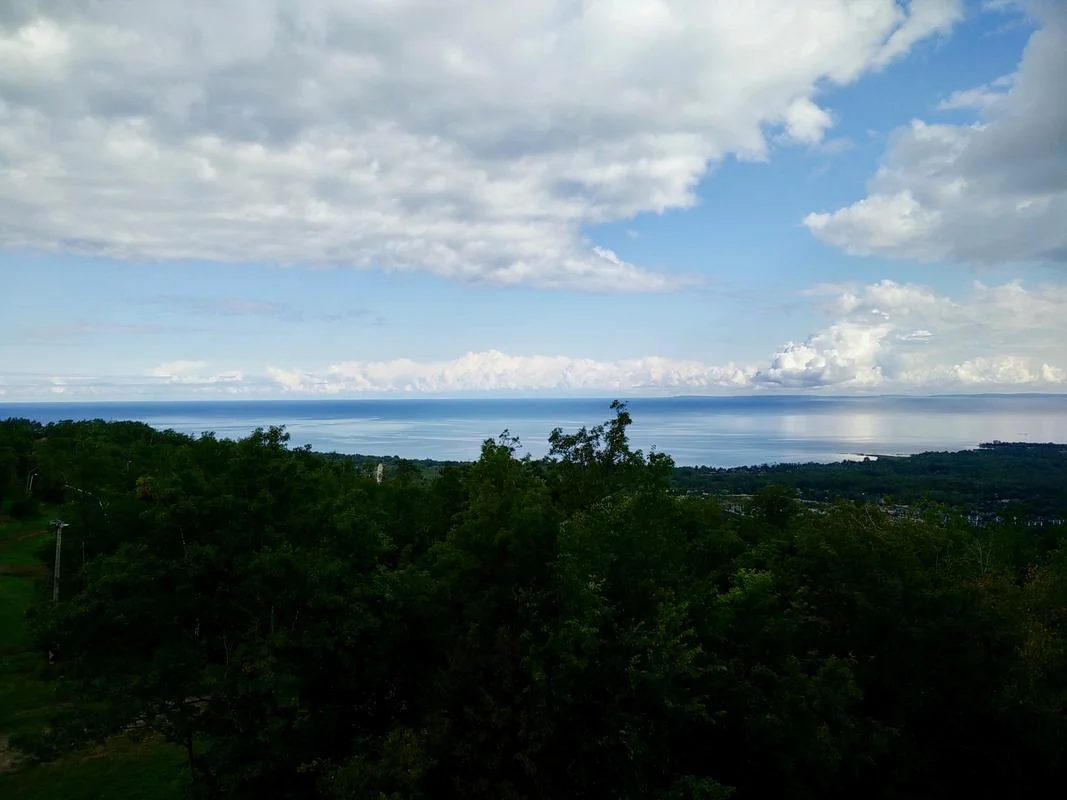 blue2.webp