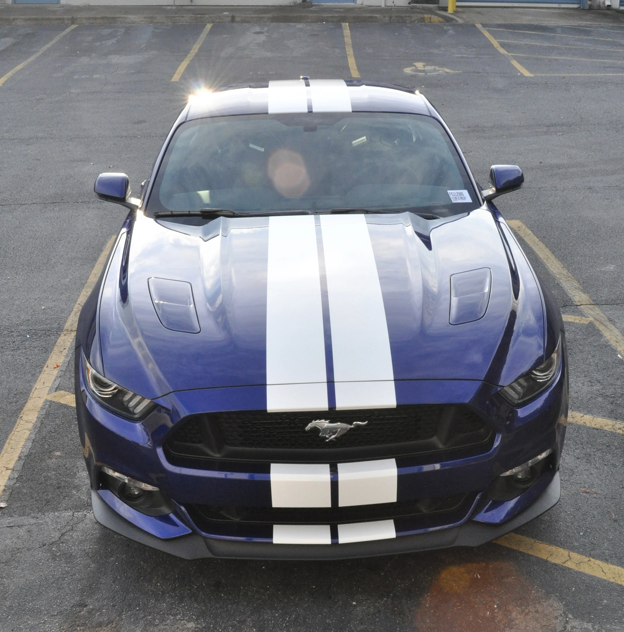 blue3.webp