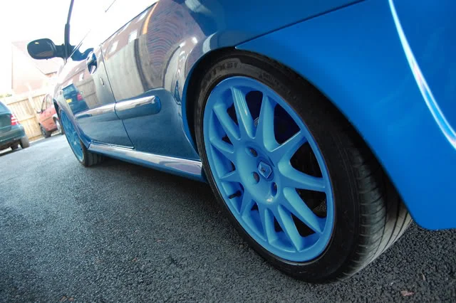 BLUERIMS.webp
