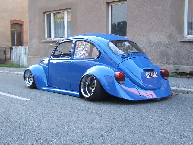 BlueWideBeetleBack.webp