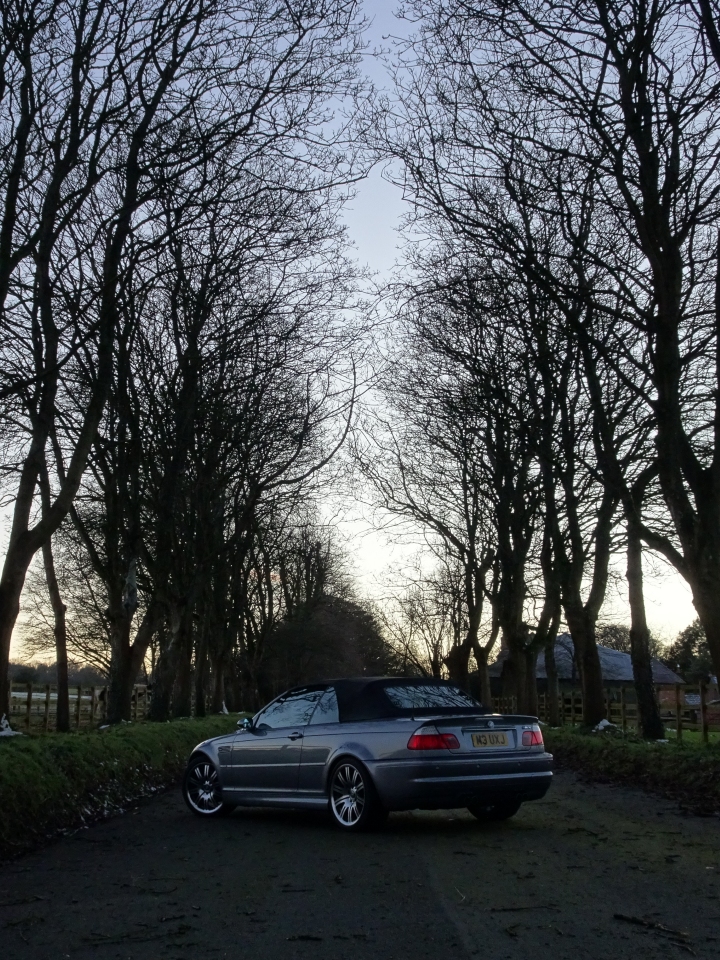 BMW-M3-3QtrRearTrees2.jpg