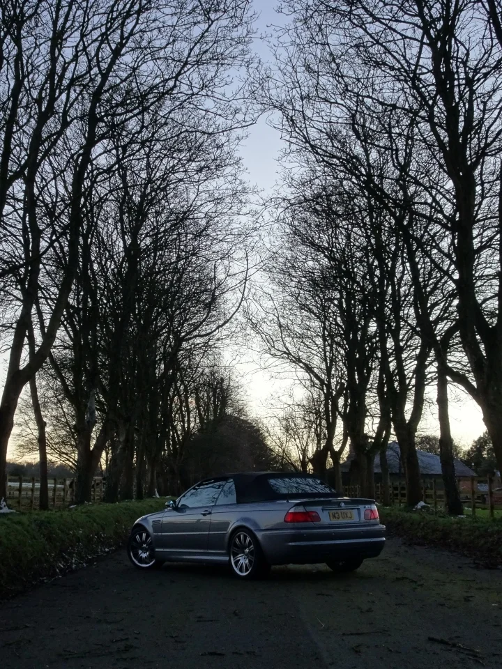 BMW-M3-3QtrRearTrees2.webp
