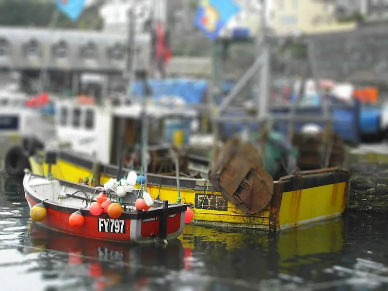 boat2.webp