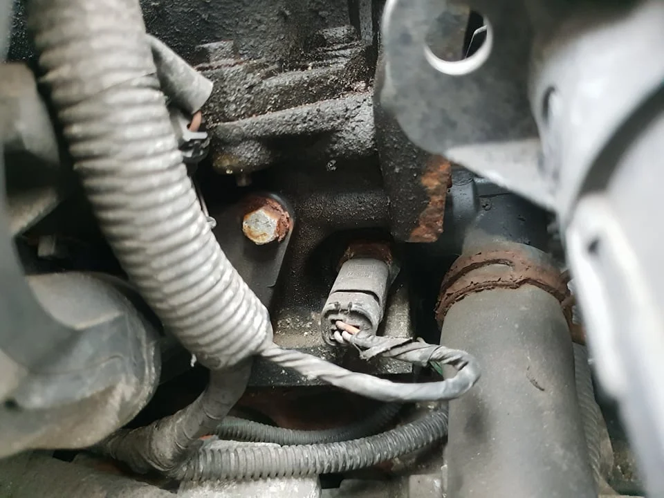 bolt 2.webp