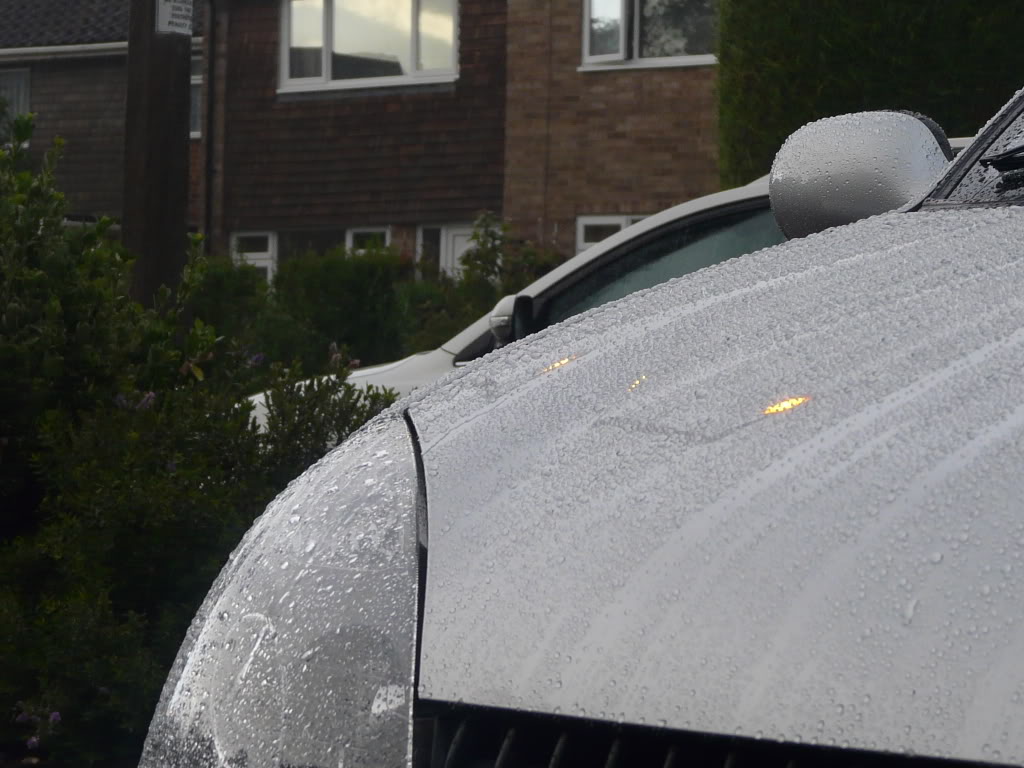 Bonnet.jpg